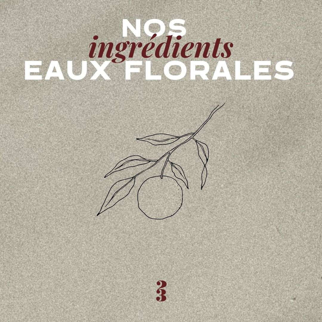 Le Spray Hydratant Désinfectant - 23Beauty Paris